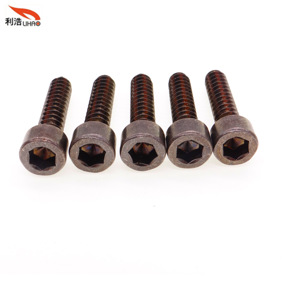 St6*30 Black Nickel-Plated Carbon Steel Hexagon Socket Fillister/Cup Head Self-Tapping Screw