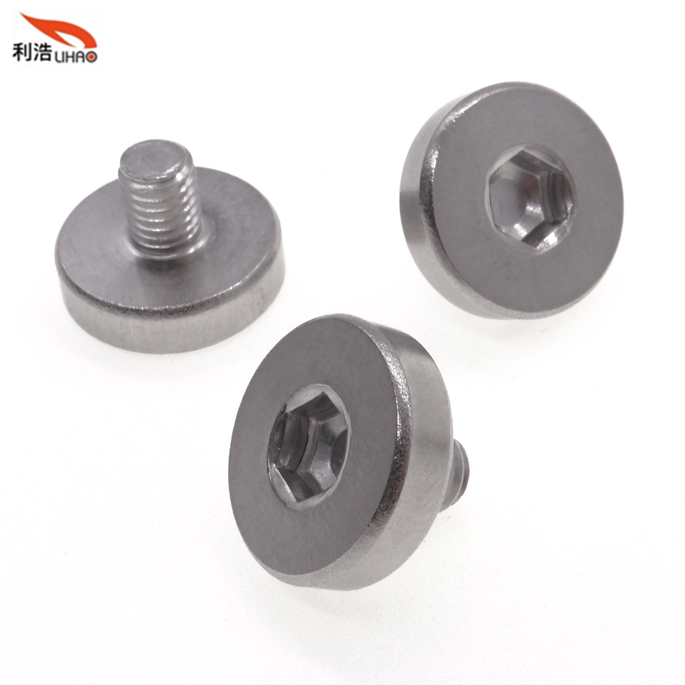 M5*10.5 Stainless Steel Hexagon Socket Fillister/Flat Head Thumb Screw