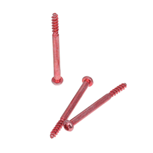 Torx Tapping Pan Head Screw Steel