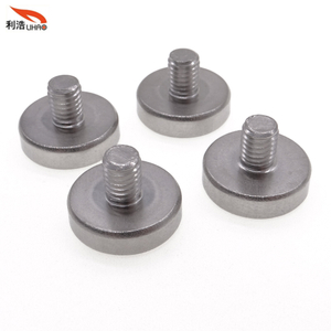 M5*10.5 Stainless Steel Hexagon Socket Fillister/Flat Head Thumb Screw