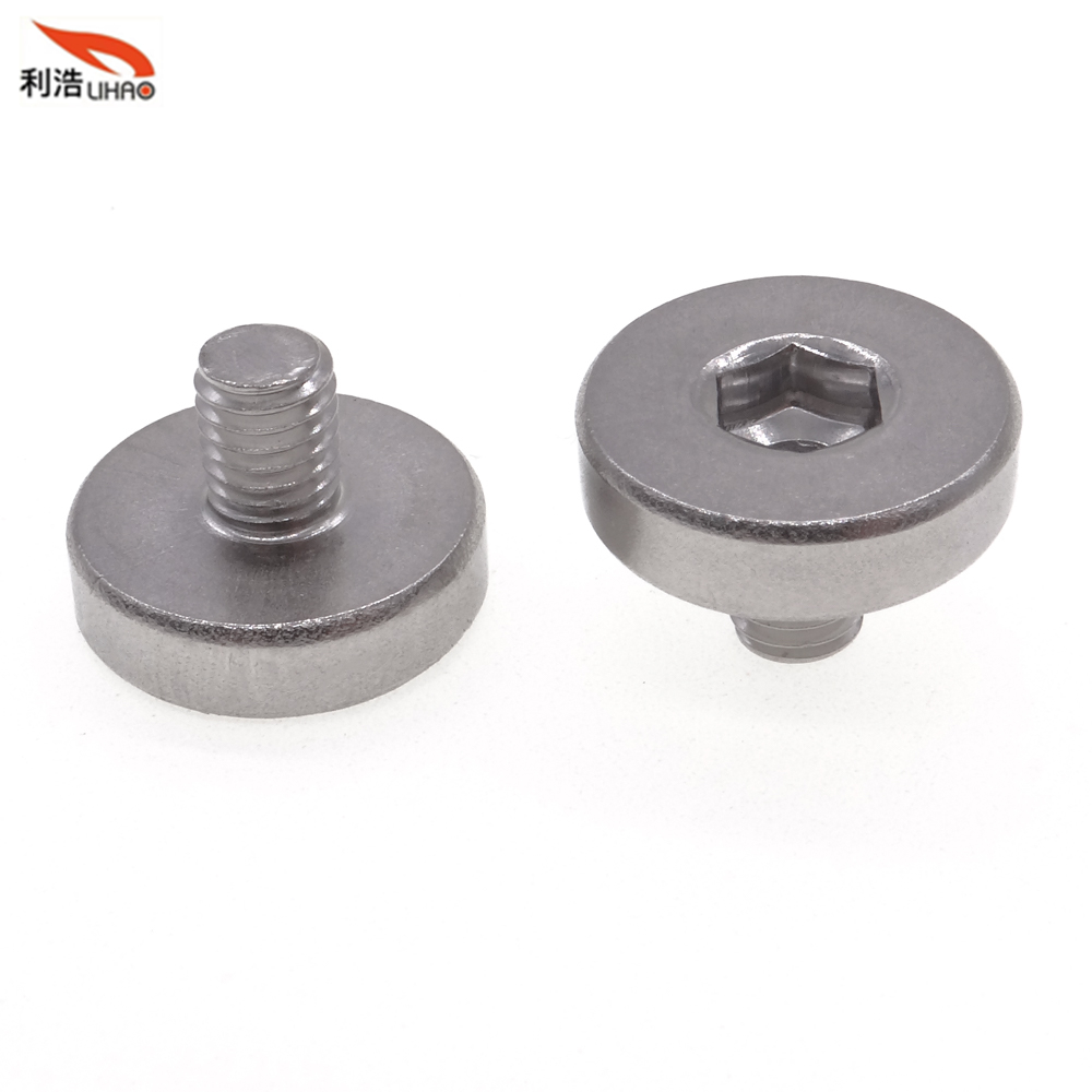 M5*10.5 Stainless Steel Hexagon Socket Fillister/Flat Head Thumb Screw